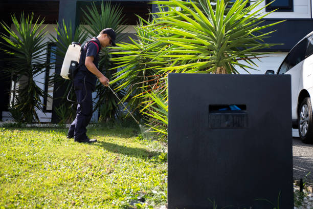 pest control worker spraying pesticide outside the house