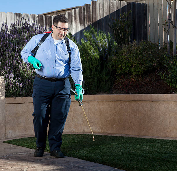 man treating house for pest control. professional exterminator.